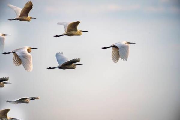 英语中如何翻译常见体育项目的名称？(图1)